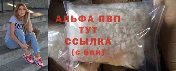 эйфоретик Магас