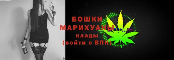 мдпв Михайлов