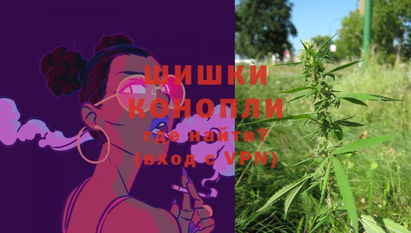 эйфоретик Магас