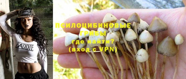 не бодяженный Магадан