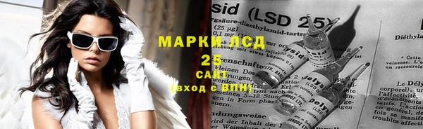 мдпв Михайлов