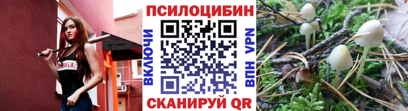 гидра ссылка  Михайловка  Галлюциногенные грибы мухоморы 