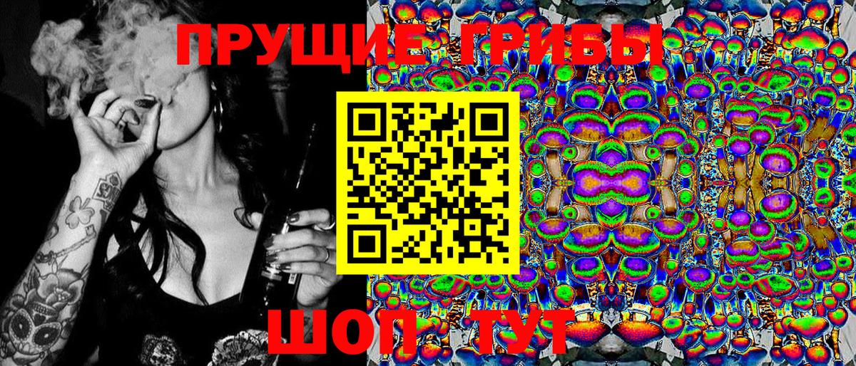 Галлюциногенные грибы Cubensis  Вход с VPN  Михайловка 